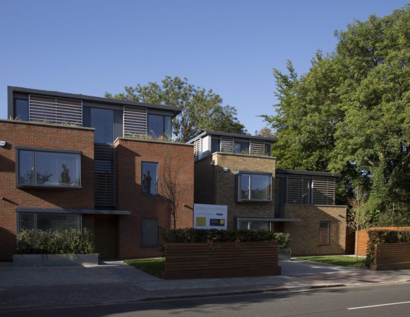 Saffron & Vermillion