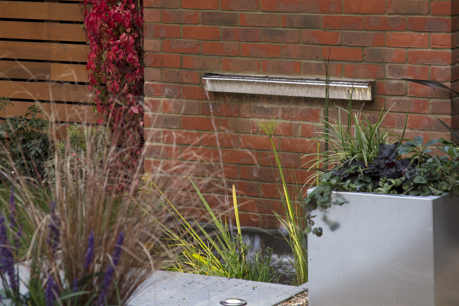 Saffron & Vermillion 8